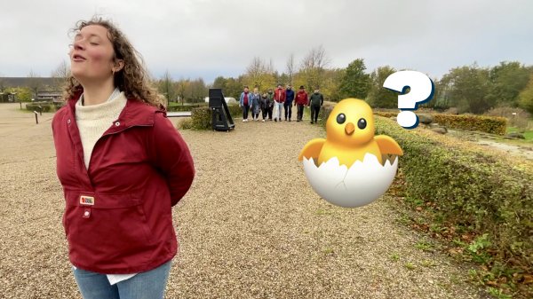 Er der nogen der har set min kylling?!?